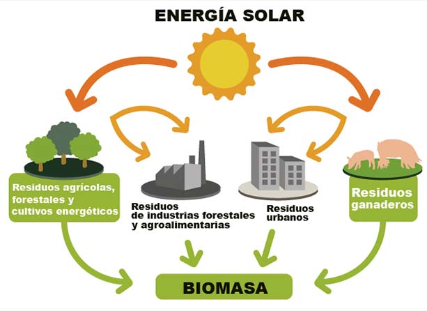 como-funciona-la-biomasa